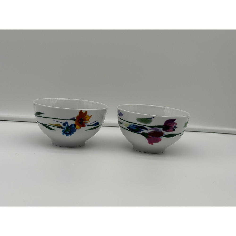 Gourmet Basics by Mikasa Watercolor Garden Porcelain Bowls Set of 2 Floral White